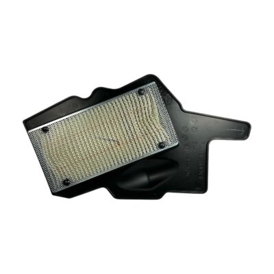 FILTRO AIRE COMPLETO RAIDER 125