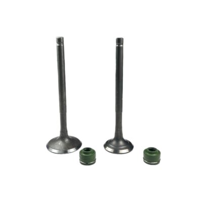 KIT VALVULAS CB110 CB125F HONDA